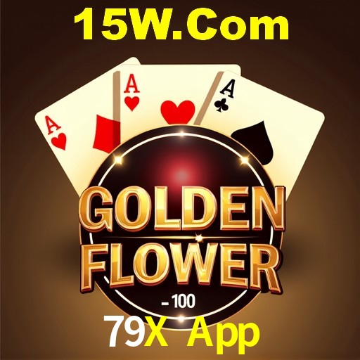 Interface Premium 79X App